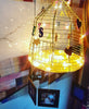 Photo Light Cage